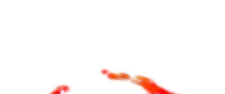 Trên Người Ta Có Một Cái Cây Thần Thoại Chapter 56 - Trang 3