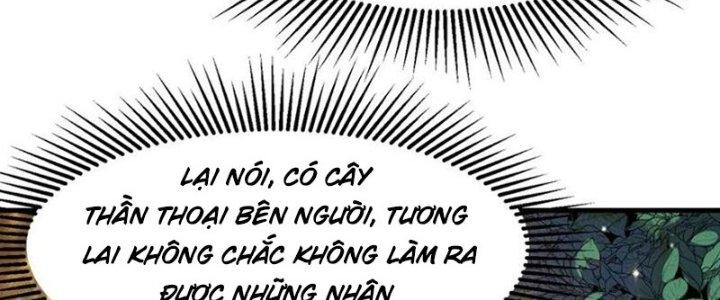 Trên Người Ta Có Một Cái Cây Thần Thoại Chapter 56 - Trang 3