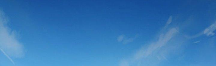 Hệ Thống Này Quá Không Đứng Đắn Chapter 7 - Trang 2