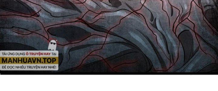 Nhà Sưu Tập Dị Thường Chapter 11 - Trang 3