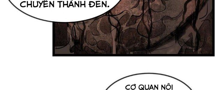 Nhà Sưu Tập Dị Thường Chapter 11 - Trang 3