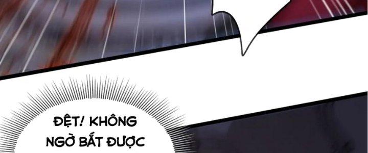 Nhà Sưu Tập Dị Thường Chapter 16 - Trang 3