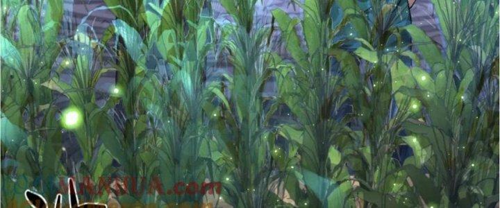 Nhà Sưu Tập Dị Thường Chapter 16 - Trang 3