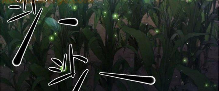 Nhà Sưu Tập Dị Thường Chapter 16 - Trang 3