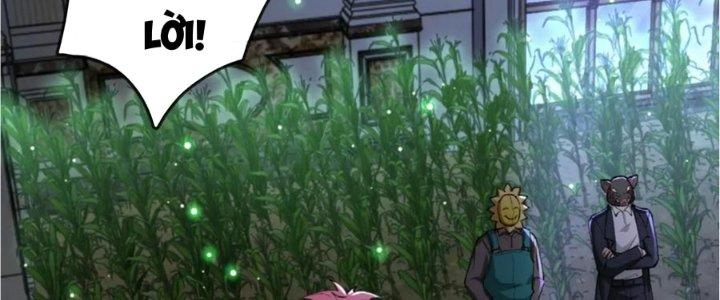 Nhà Sưu Tập Dị Thường Chapter 16 - Trang 3