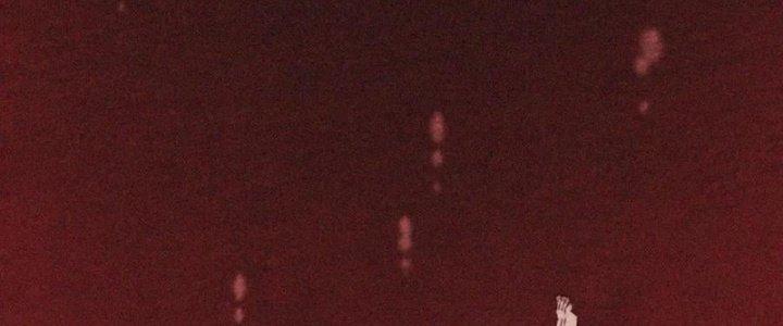 Trải Nghiệm Trở Thành Huyết Tộc Chapter 2 - Trang 2