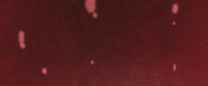 Trải Nghiệm Trở Thành Huyết Tộc Chapter 2 - Trang 2