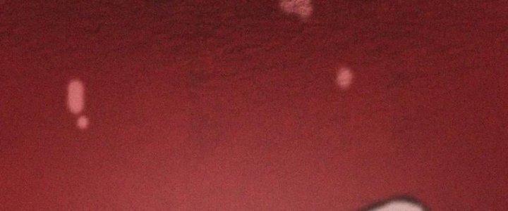 Trải Nghiệm Trở Thành Huyết Tộc Chapter 2 - Trang 2