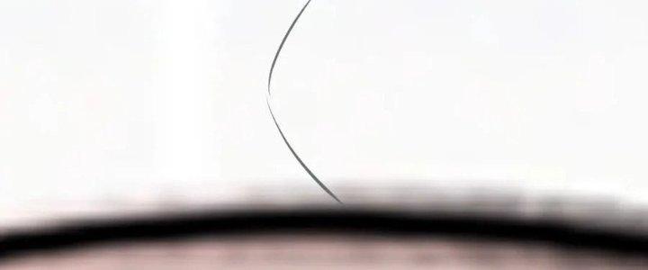 Trải Nghiệm Trở Thành Huyết Tộc Chapter 5 - Trang 3