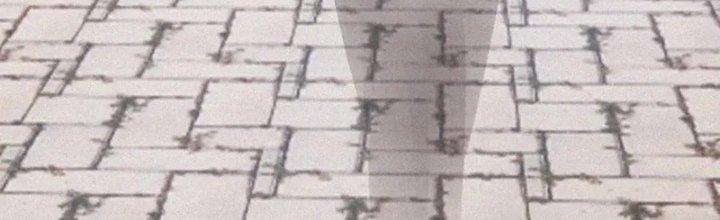 Trải Nghiệm Trở Thành Huyết Tộc Chapter 6 - Trang 2