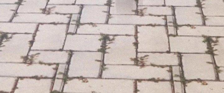 Trải Nghiệm Trở Thành Huyết Tộc Chapter 6 - Trang 2