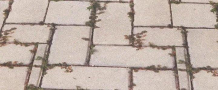 Trải Nghiệm Trở Thành Huyết Tộc Chapter 6 - Trang 2