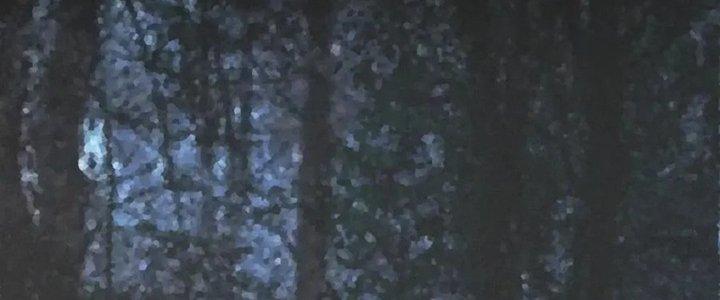 Trải Nghiệm Trở Thành Huyết Tộc Chapter 11 - Trang 2