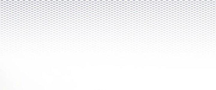 Trải Nghiệm Trở Thành Huyết Tộc Chapter 11 - Trang 2