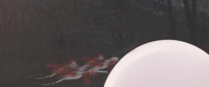 Trải Nghiệm Trở Thành Huyết Tộc Chapter 11 - Trang 2