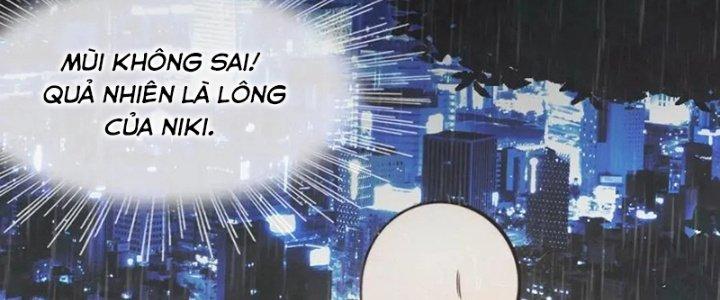 Trải Nghiệm Trở Thành Huyết Tộc Chapter 11 - Trang 2