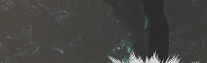 Trải Nghiệm Trở Thành Huyết Tộc Chapter 11 - Trang 2