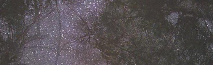 Trải Nghiệm Trở Thành Huyết Tộc Chapter 11 - Trang 2