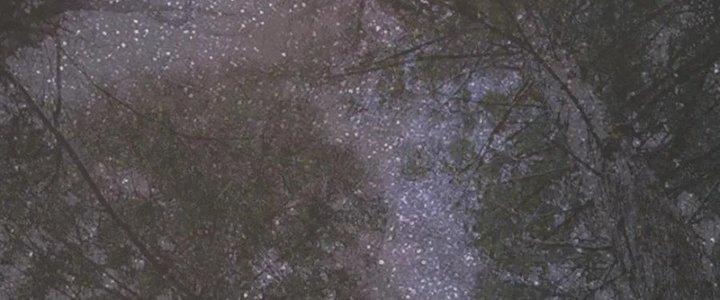 Trải Nghiệm Trở Thành Huyết Tộc Chapter 11 - Trang 2