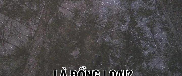 Trải Nghiệm Trở Thành Huyết Tộc Chapter 11 - Trang 2