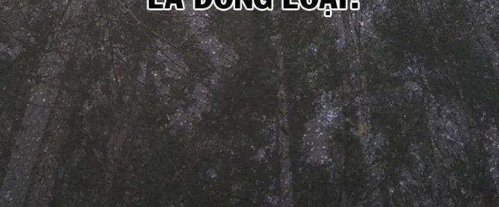 Trải Nghiệm Trở Thành Huyết Tộc Chapter 11 - Trang 2