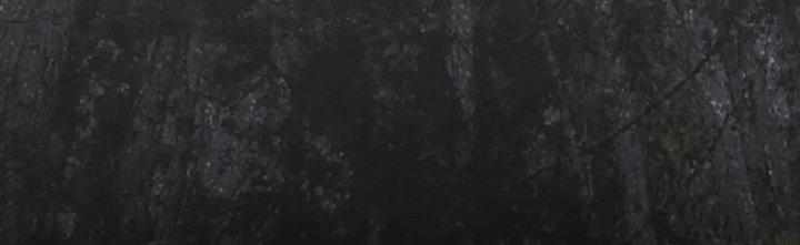 Trải Nghiệm Trở Thành Huyết Tộc Chapter 11 - Trang 2