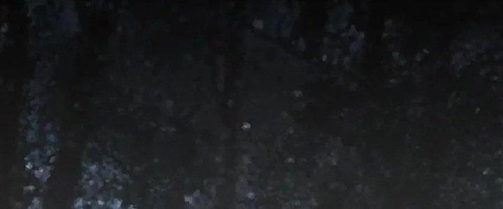 Trải Nghiệm Trở Thành Huyết Tộc Chapter 11 - Trang 2