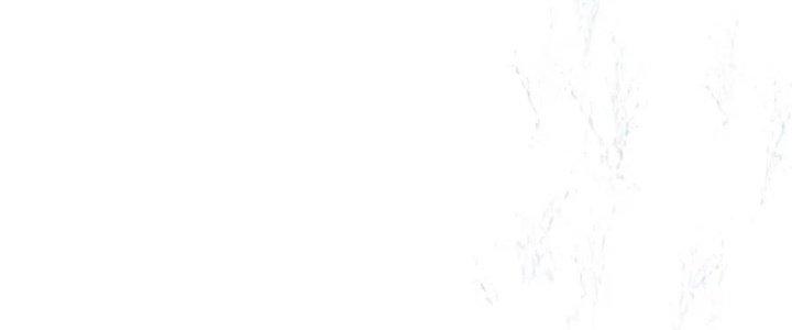 Trải Nghiệm Trở Thành Huyết Tộc Chapter 12 - Trang 2