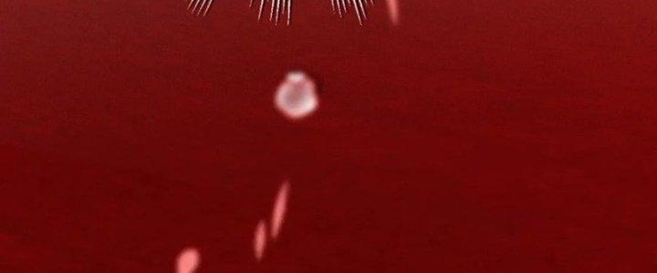 Trải Nghiệm Trở Thành Huyết Tộc Chapter 12 - Trang 2