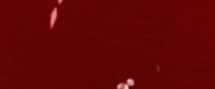 Trải Nghiệm Trở Thành Huyết Tộc Chapter 12 - Trang 2