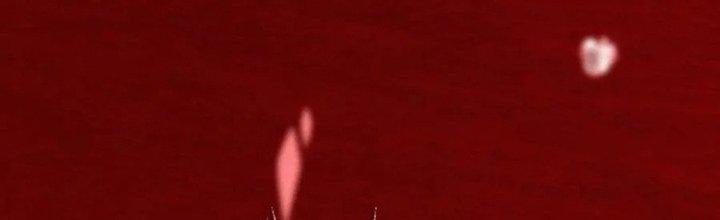 Trải Nghiệm Trở Thành Huyết Tộc Chapter 12 - Trang 2