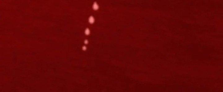 Trải Nghiệm Trở Thành Huyết Tộc Chapter 12 - Trang 2