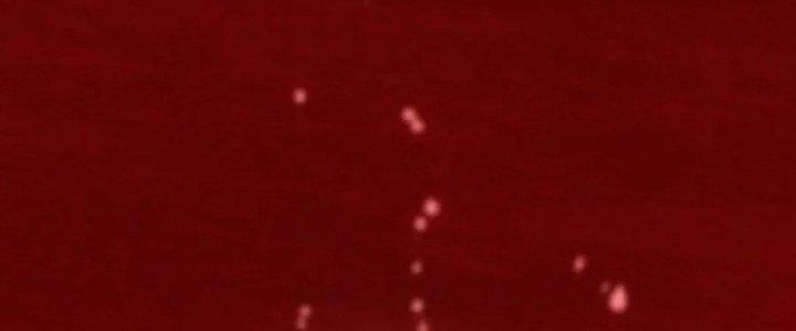 Trải Nghiệm Trở Thành Huyết Tộc Chapter 12 - Trang 2