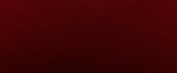 Trải Nghiệm Trở Thành Huyết Tộc Chapter 12 - Trang 2