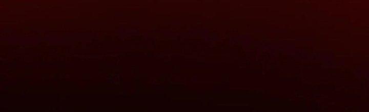 Trải Nghiệm Trở Thành Huyết Tộc Chapter 12 - Trang 2