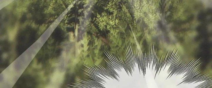 Trải Nghiệm Trở Thành Huyết Tộc Chapter 12 - Trang 2