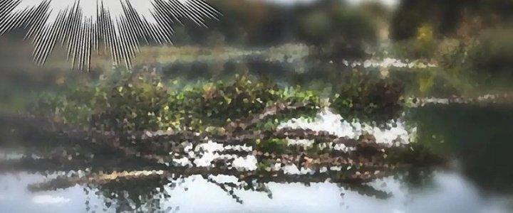 Trải Nghiệm Trở Thành Huyết Tộc Chapter 12 - Trang 2