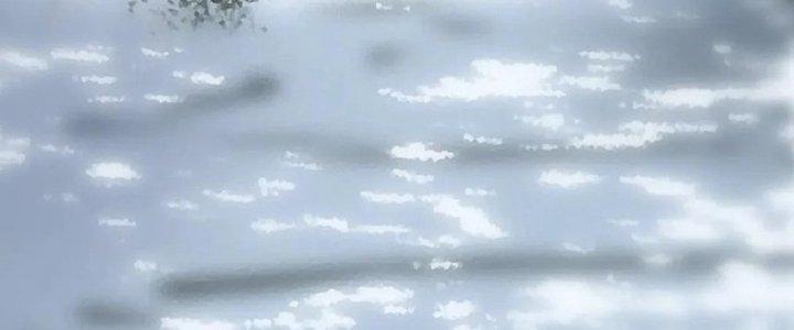 Trải Nghiệm Trở Thành Huyết Tộc Chapter 12 - Trang 2