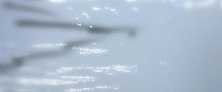 Trải Nghiệm Trở Thành Huyết Tộc Chapter 12 - Trang 2