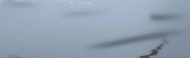 Trải Nghiệm Trở Thành Huyết Tộc Chapter 12 - Trang 2