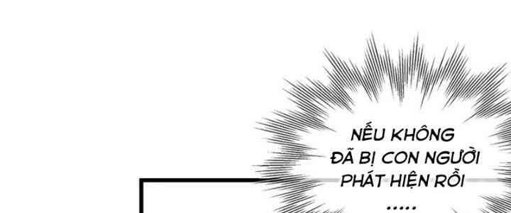 Trải Nghiệm Trở Thành Huyết Tộc Chapter 12 - Trang 2