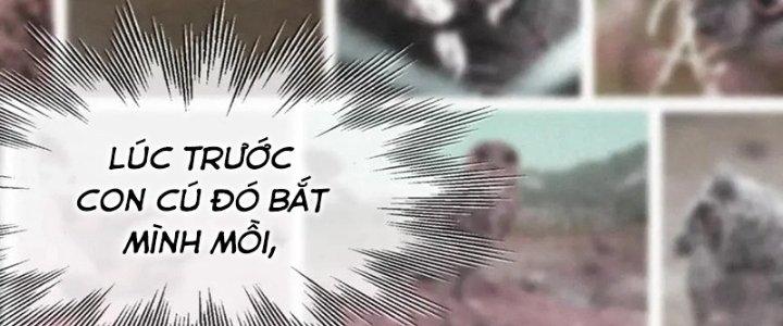 Trải Nghiệm Trở Thành Huyết Tộc Chapter 12 - Trang 2