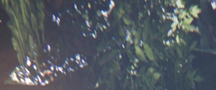 Trải Nghiệm Trở Thành Huyết Tộc Chapter 12 - Trang 2