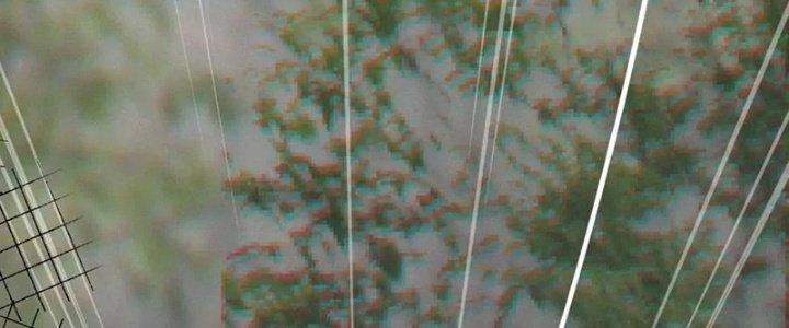 Trải Nghiệm Trở Thành Huyết Tộc Chapter 13 - Trang 2