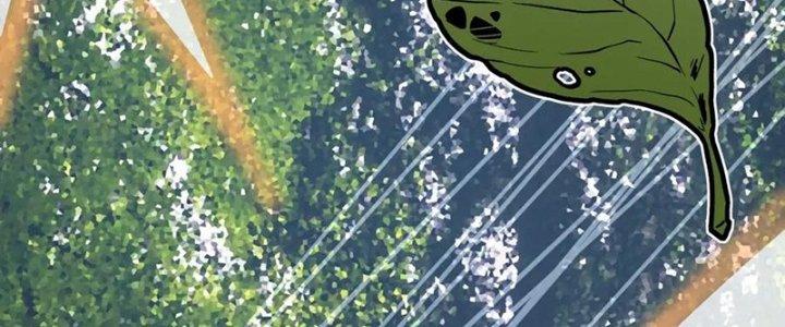 Trải Nghiệm Trở Thành Huyết Tộc Chapter 13 - Trang 2