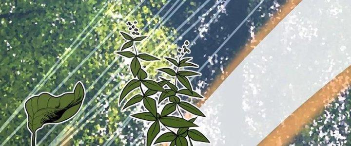 Trải Nghiệm Trở Thành Huyết Tộc Chapter 13 - Trang 2