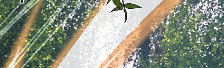 Trải Nghiệm Trở Thành Huyết Tộc Chapter 13 - Trang 2