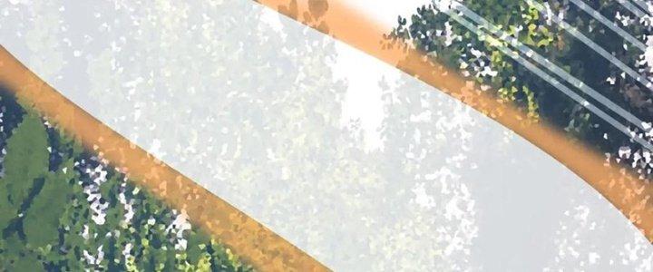 Trải Nghiệm Trở Thành Huyết Tộc Chapter 13 - Trang 2