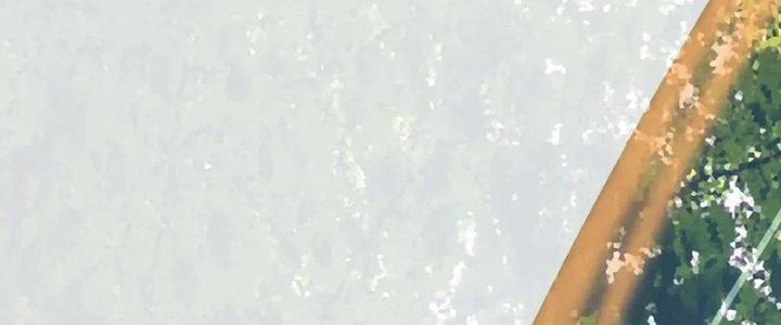 Trải Nghiệm Trở Thành Huyết Tộc Chapter 13 - Trang 2