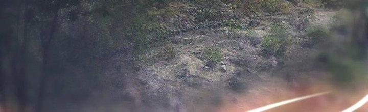 Trải Nghiệm Trở Thành Huyết Tộc Chapter 13 - Trang 2